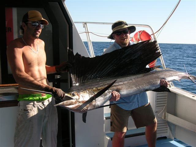 Rowley Shoals - More Sailfish